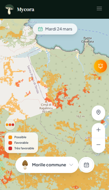 Capture de l'application Mycora : carte des zones favorables avec sélection d'espèce et légende