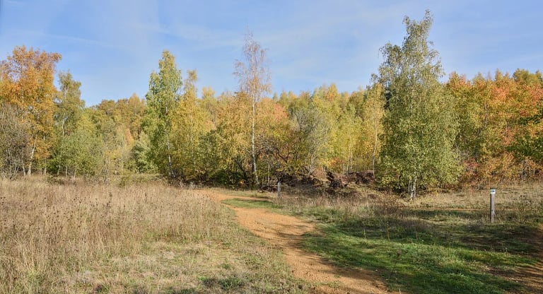 Sentier dans la réserve naturelle de la Haard, à Dudelange. Image redimensionnée et convertie en WebP.
